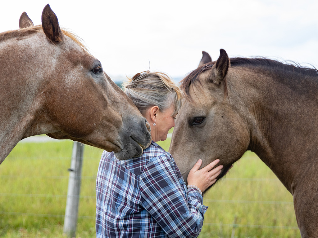 Healing Horses through Animal Communication